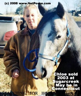SEARCHING FOR HORSE Chloe, Near Sugarcreek, OH, 00000